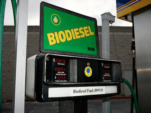 Các trạm xăng diesel sinh học xuất hiện ngày càng nhiều ở Ấn Độ