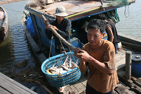 Xuất khẩu các mặt hàng nông sản tăng về lượng, nhưng giảm về giá trị trong năm 2011. Ảnh: D.H